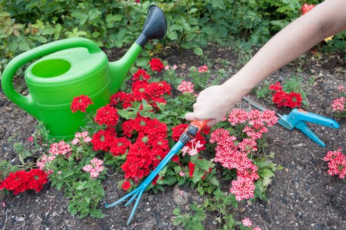Gardener inspecting a suburban front garden