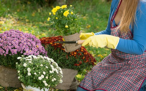Inspected gardening equipment and safety signage in grounds
