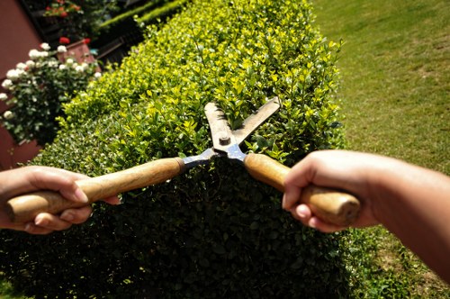 Lawn care professionals at work