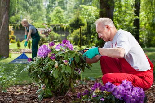 Professional planning of Temple landscape garden