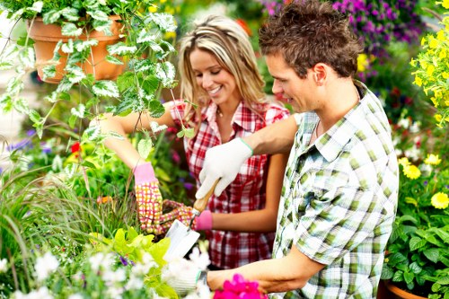 Selection of native plants for Temple gardens