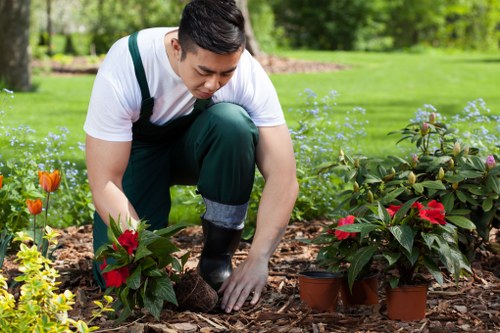 Professional garden clearance tools and equipment