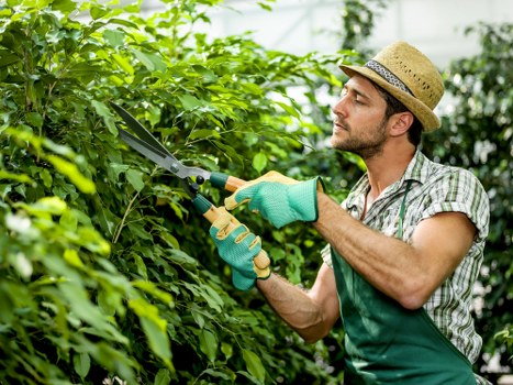 Staff member placing high-contrast wayfinding sign in the garden