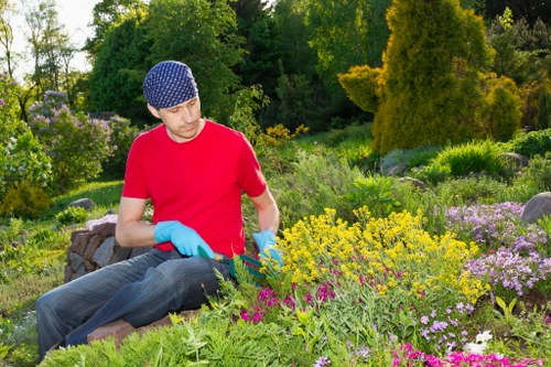 Professionals maintaining temple hedges with care