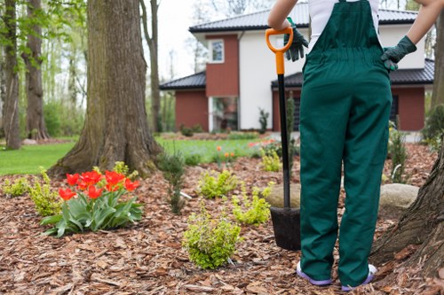 Close-up of lawn mowing in progress