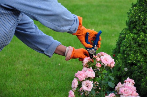 Seasonal flowers in a well-maintained garden