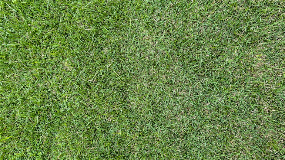 Close-up image of a patchy lawn with uneven areas of lush green grass and sparse, thin sections revealing the underlying soil. The grass blades vary in length and density, indicating the need for lawn
