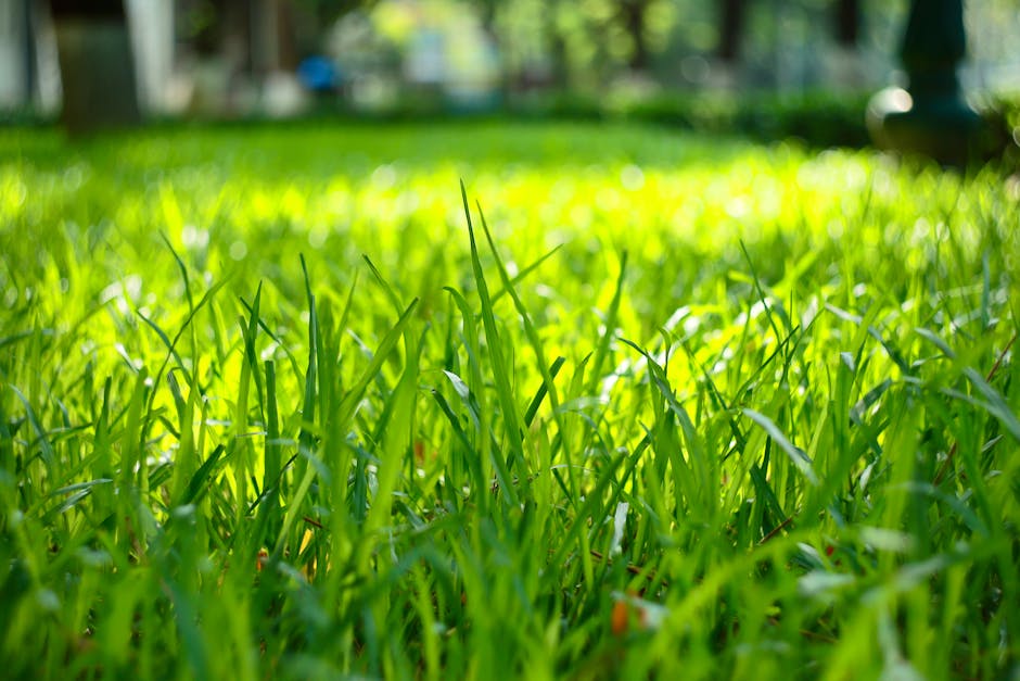 Close-up image of a patchy lawn with uneven areas of lush green grass and sparse, thin sections revealing the underlying soil. The grass blades vary in length and density, indicating the need for lawn