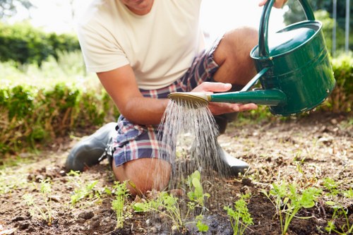 A person wearing a light beige t-shirt and plaid shorts is kneeling in a garden, watering small green plants and seedlings with a green watering can. The garden features a well-maintained lawn with lush, dense grass in the background, bordered by a mix of small bushes and trees. The soil around the young plants appears dark and moist, indicating recent watering, and the environment is illuminated by natural daylight, suggesting a clear, sunny day. This outdoor space demonstrates a neatly arranged garden layout with defined planting areas and pathways, highlighting the importance of regular watering in garden maintenance. The scene reflects typical gardening activities in a residential garden setting, which is relevant to professional gardening and landscaping services provided by companies like Garden Maintenance Temple serving local communities in the area near the inferred postcode and town. The overall scene emphasizes the value of attentive outdoor upkeep, including nurturing plants, with a focus on natural tones and well-kept garden borders.