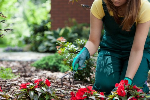 Seasonal maintenance tasks in a temple garden during autumn